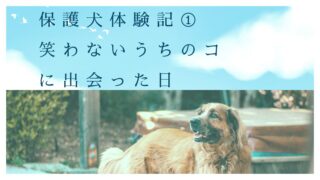 保護犬体験記①｜笑わないうちのコ。保護犬譲渡会で運命の出会い