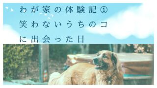 わが家の体験記①｜笑わないうちのコ。保護犬譲渡会で運命の出会い