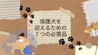 保護犬を迎える前に準備するもの┃これだけは必要な必需品7選