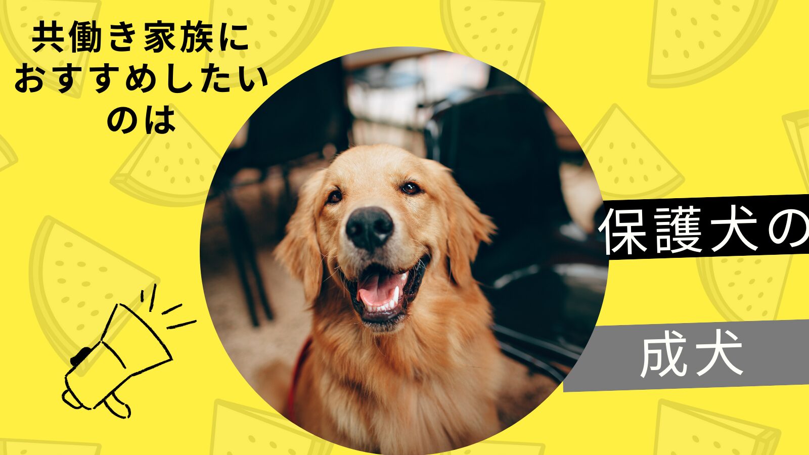 「子犬じゃなくてもいいかも」共働き・子育て家庭が成犬を選んだ理由