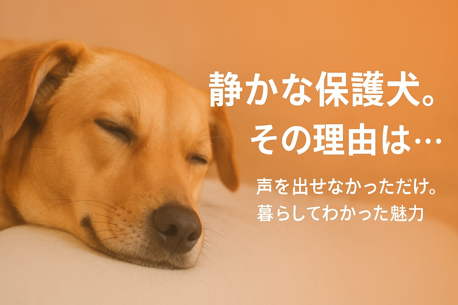 繁殖犬が吠えない理由｜静かな保護犬に多い背景と、迎えて気づいた良い面