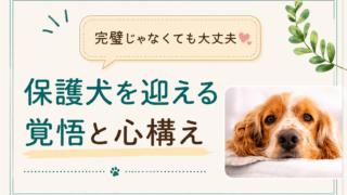 保護犬を迎える覚悟とは？迎える前に家族で考えておきたいこと