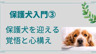 【保護犬入門③】｜保護犬を迎える前に知っておきたい覚悟と心構え