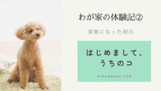 共働き家族の体験記②｜はじめまして、うちのコ。保護犬が家族になる初日