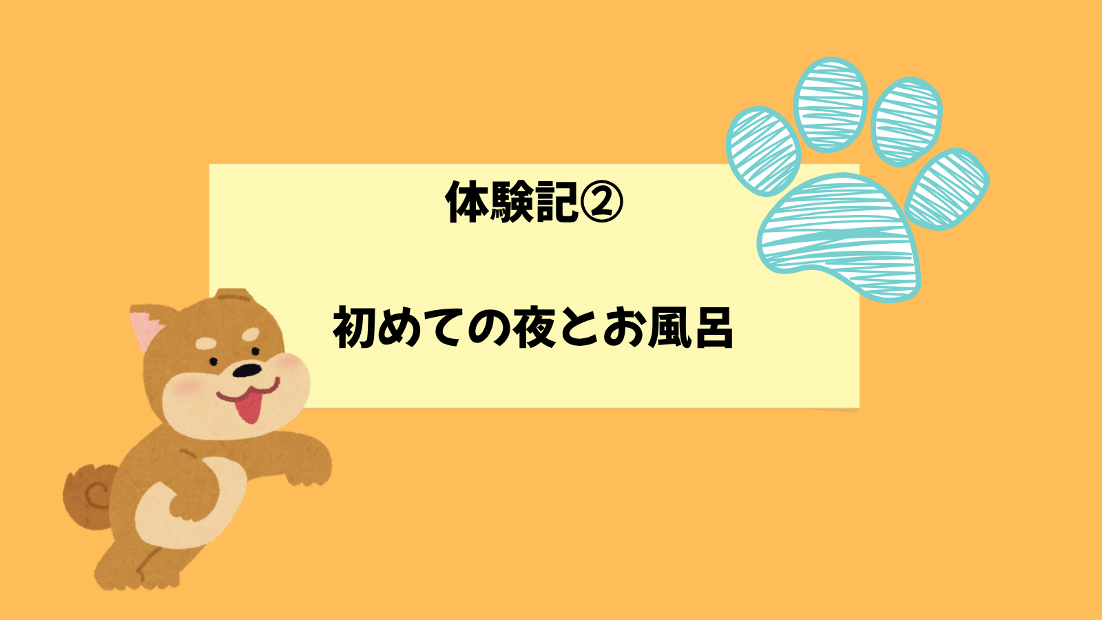 保護犬体験記②|初めての夜とお風呂。小さな信頼のはじまり