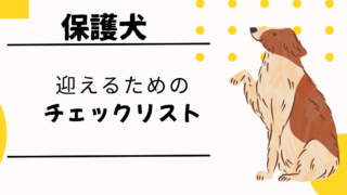 成犬保護犬を迎える前の準備チェックリスト