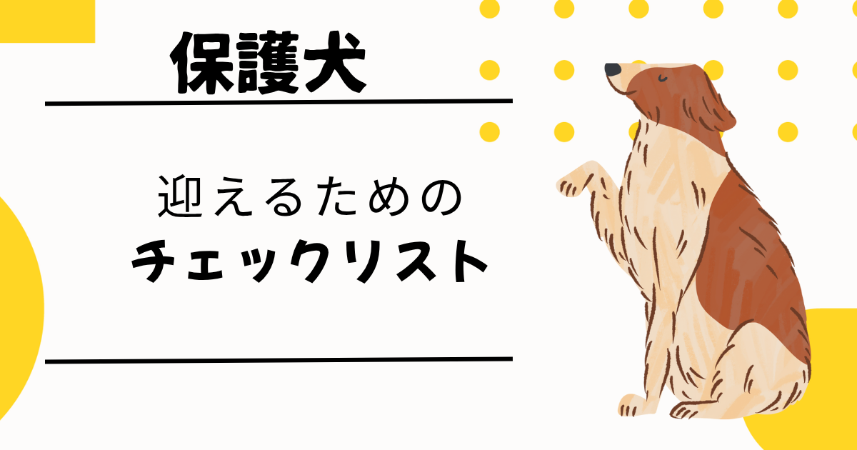 成犬保護犬を迎える前の準備チェックリスト