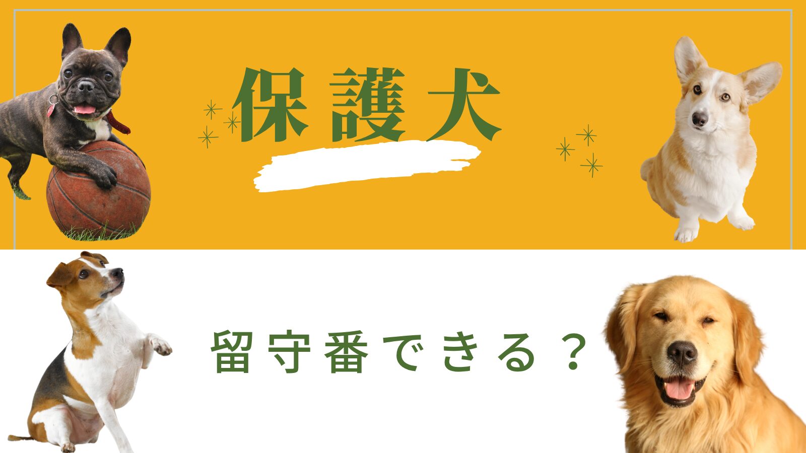 保護犬（成犬）は留守番できる？共働き家庭が知っておきたい注意点と対策
