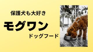 モグワンは保護犬にも向いてる？うちの子で試したリアルレビュー