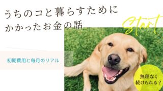【初期費用8.2万円】保護犬にかかる費用はいくら？共働き家庭のリアルな内訳