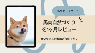 馬肉自然づくりの口コミ・評判は？実際に1ヶ月試した食いつき・うんちの変化を正直レポ