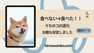 馬肉ドッグフード「馬肉自然づくり」を徹底レビュー｜口コミ・成分・向いている犬は？