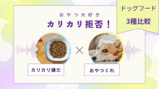 「おやつは食べるのにカリカリ拒否!」保護犬の食べムラに効いたドッグフード3選