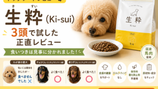 生粋（Ki-sui）ドッグフードの口コミは？実際に3頭で試した食いつきを正直レビュー