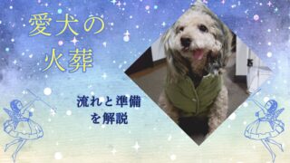 愛犬の火葬はいつ・どうする？流れと種類、私が後悔した準備不足